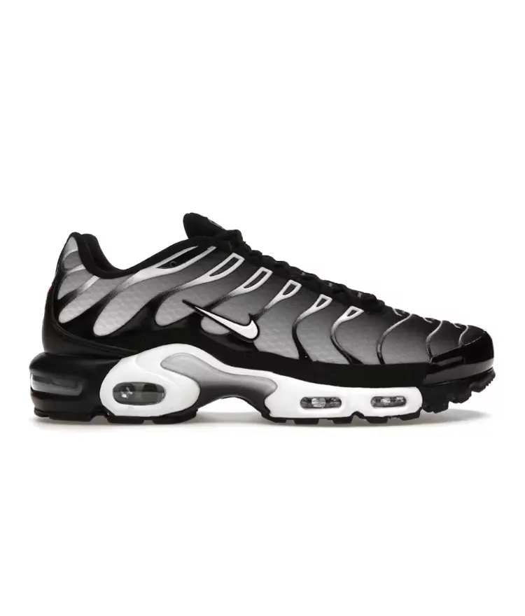 Nike Air Max Plus Black Smoke Grey