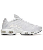 Nike Air Max Plus TN White Mesh